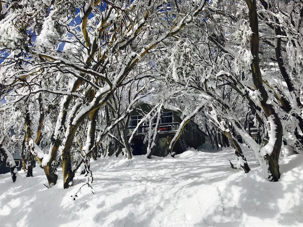 Amber Lodge Mt Buller Mount Buller Exterior photo